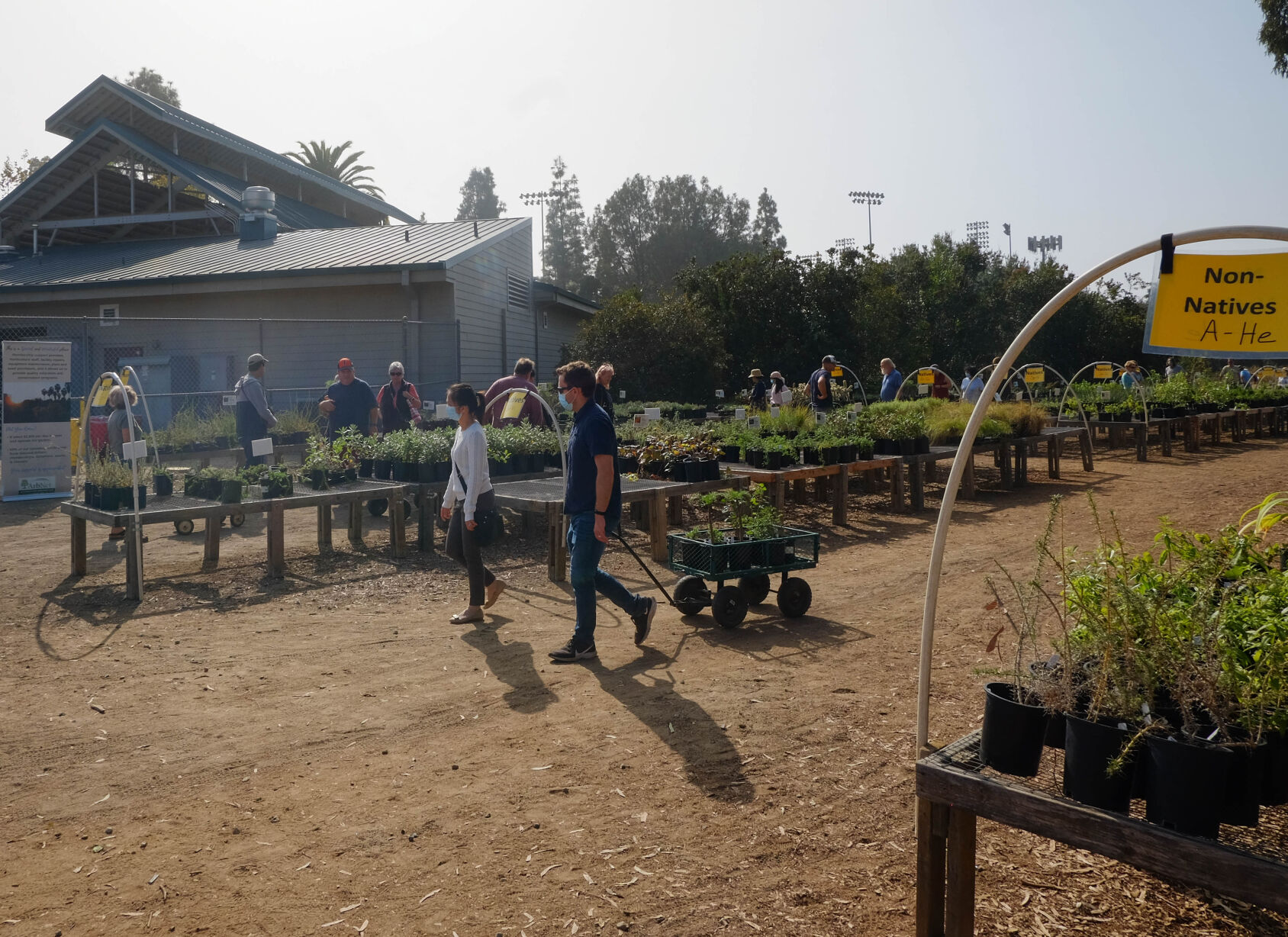 Plant sale
